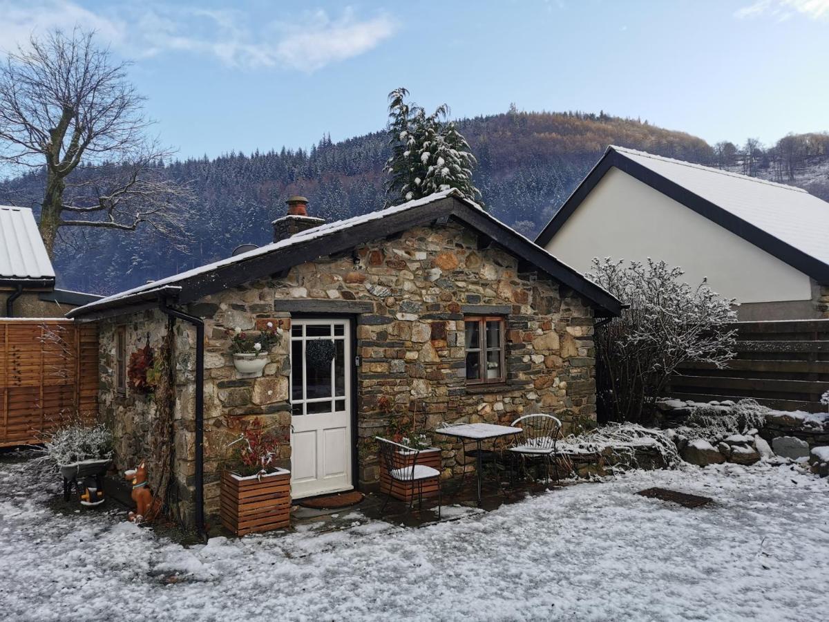 Dolweunydd Bed And Breakfast 베투스 이 코이드 외부 사진
